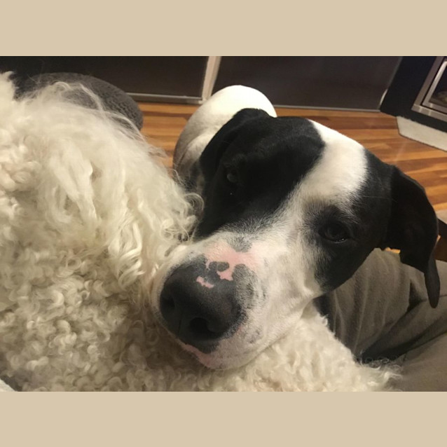 Photo of Marley 