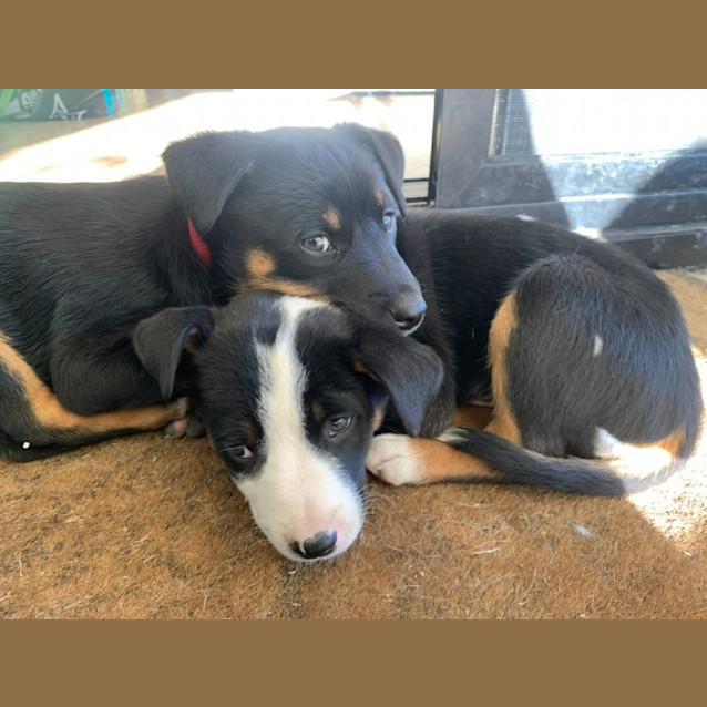 Photo of Clancy & Connor