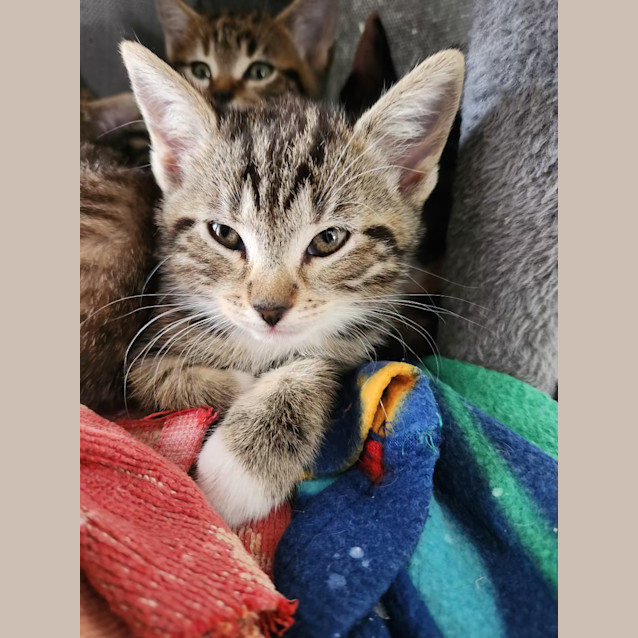 Photo of Eris