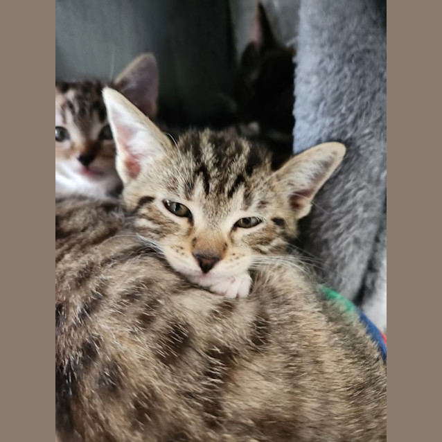 Photo of Eris