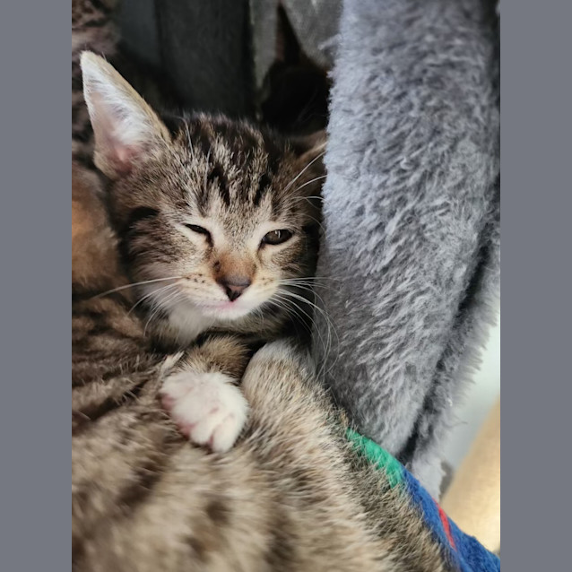 Photo of Eris