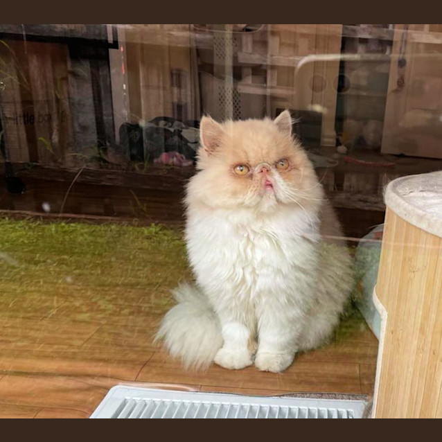 Photo of 🎲Jumanji🎲