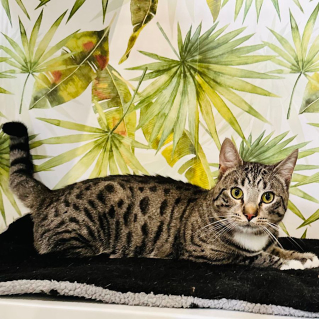 Photo of Hamm   Located In Preston