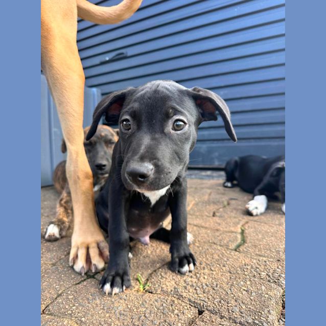Photo of Bane