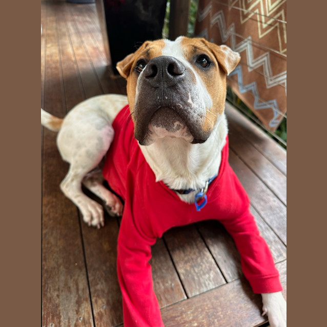 Photo of Winston