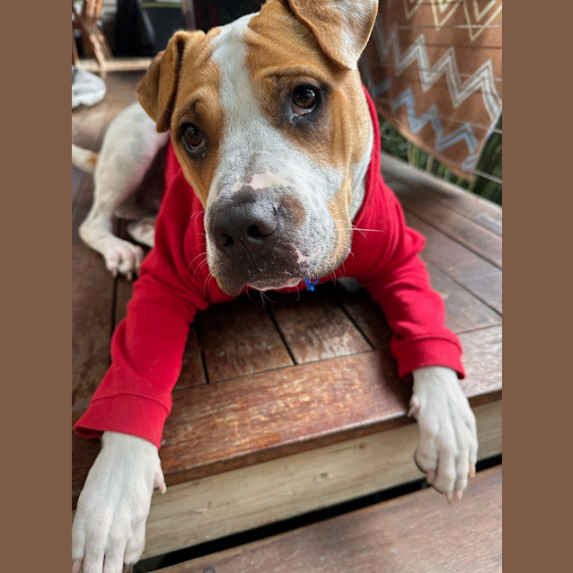 Photo of Winston