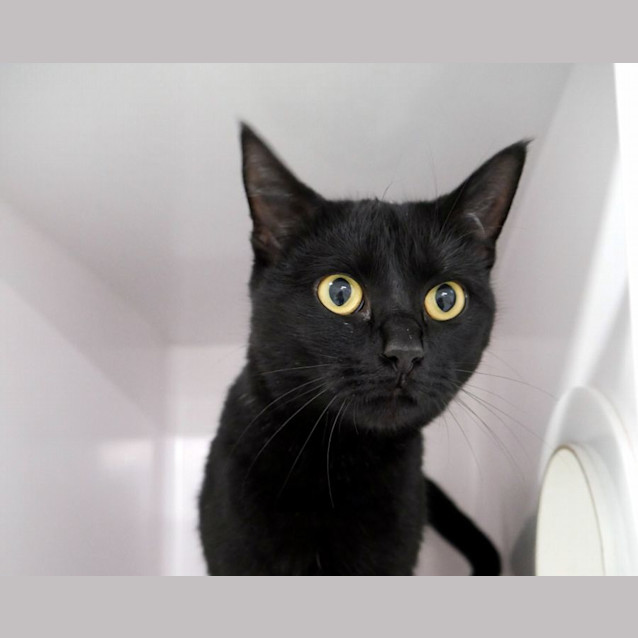 Photo of Zeytin Sta012521