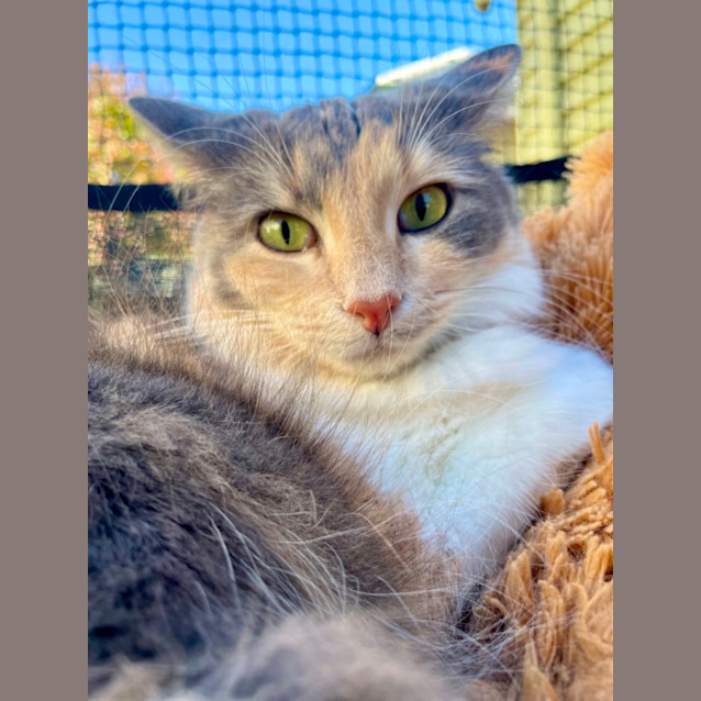 Photo of Duchess