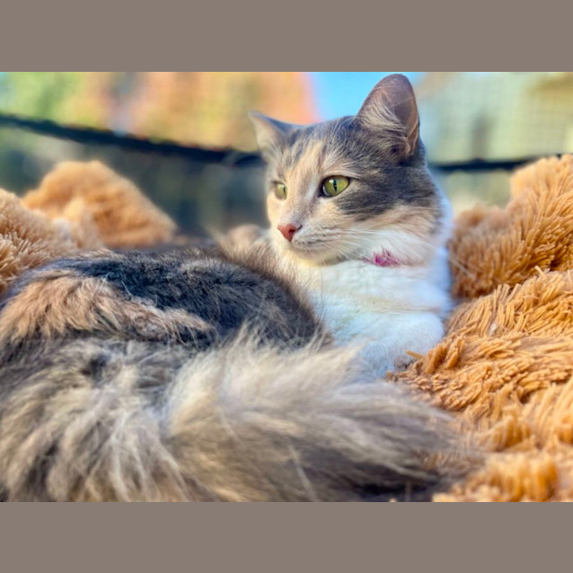 Photo of Duchess