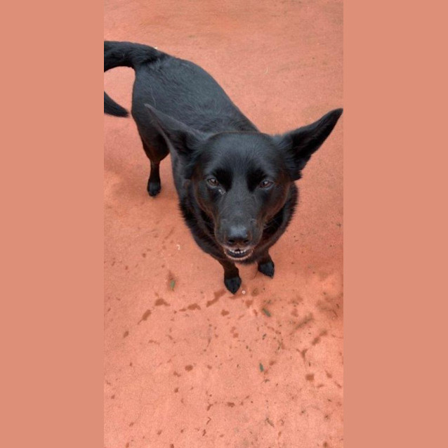 Photo of Loki Gainsborough