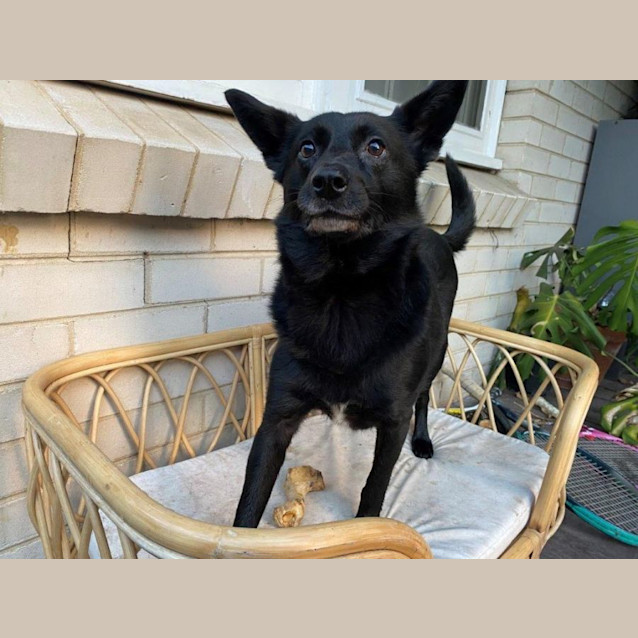 Photo of Loki Gainsborough