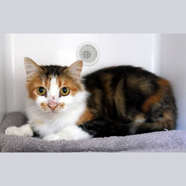 Photo of Ophelia Sta012700