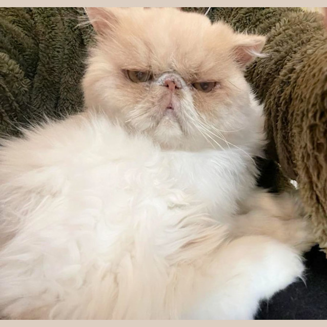 Photo of 🎲Jumanji🎲