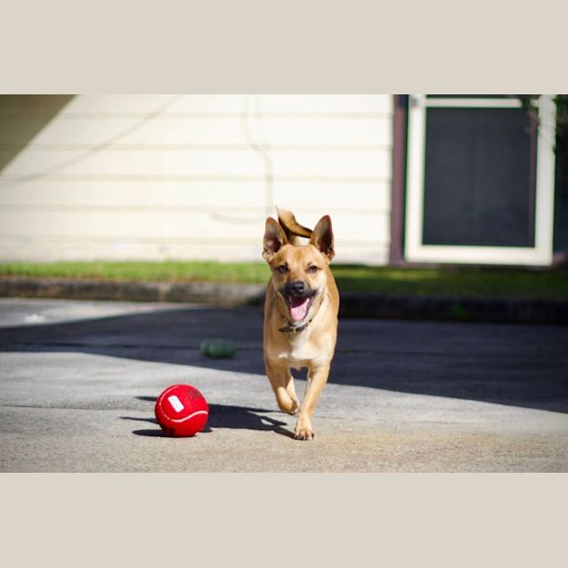 Photo of 💜 Cisco 💜