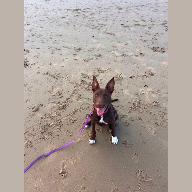 Photo of Roo