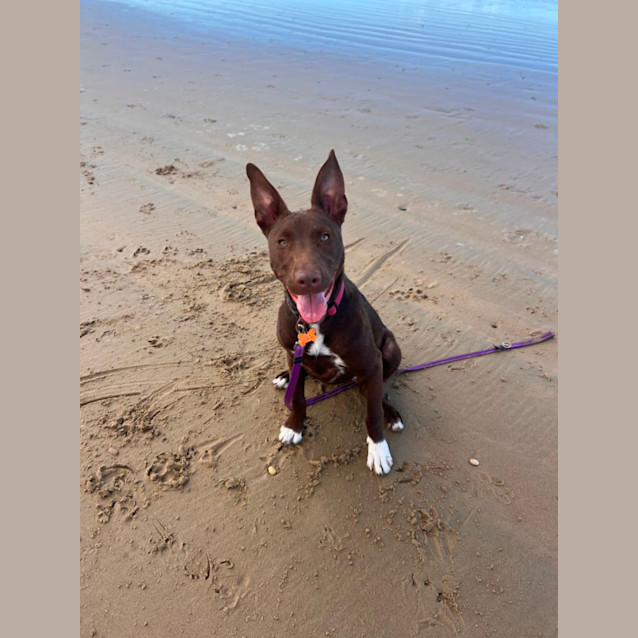 Photo of Roo