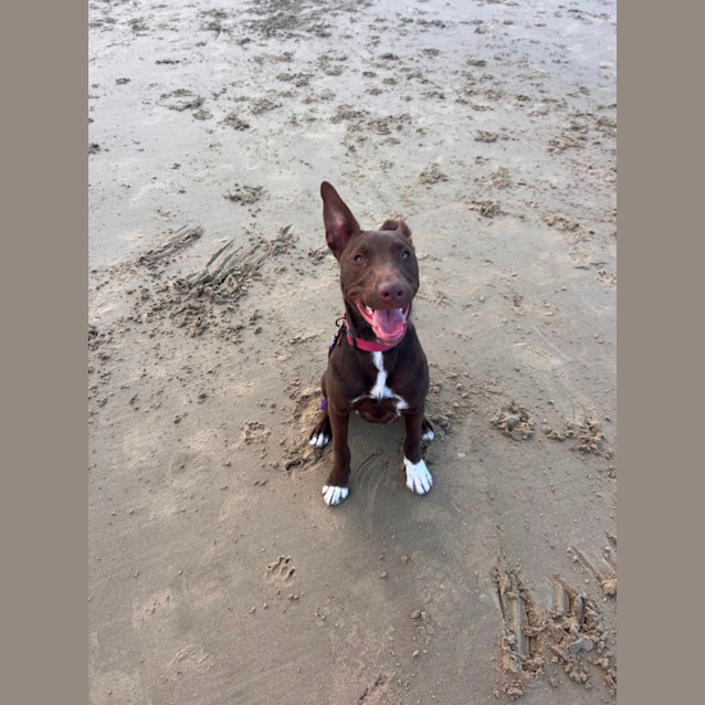 Photo of Roo