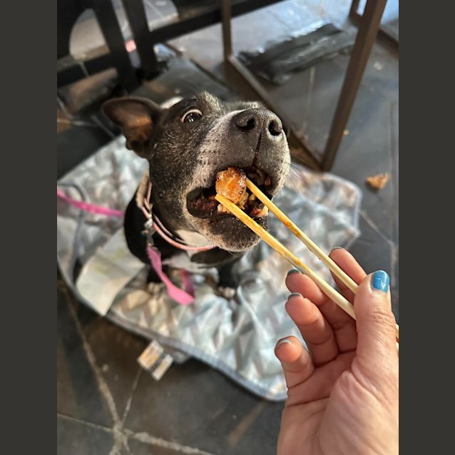 Photo of Coco