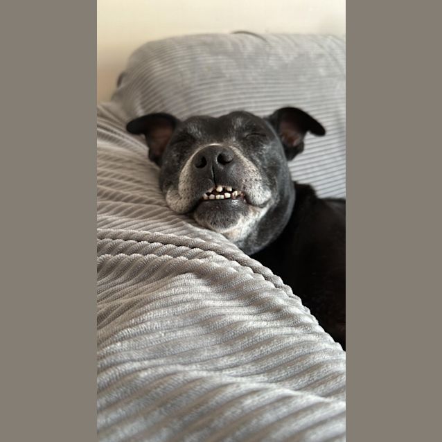 Photo of Coco