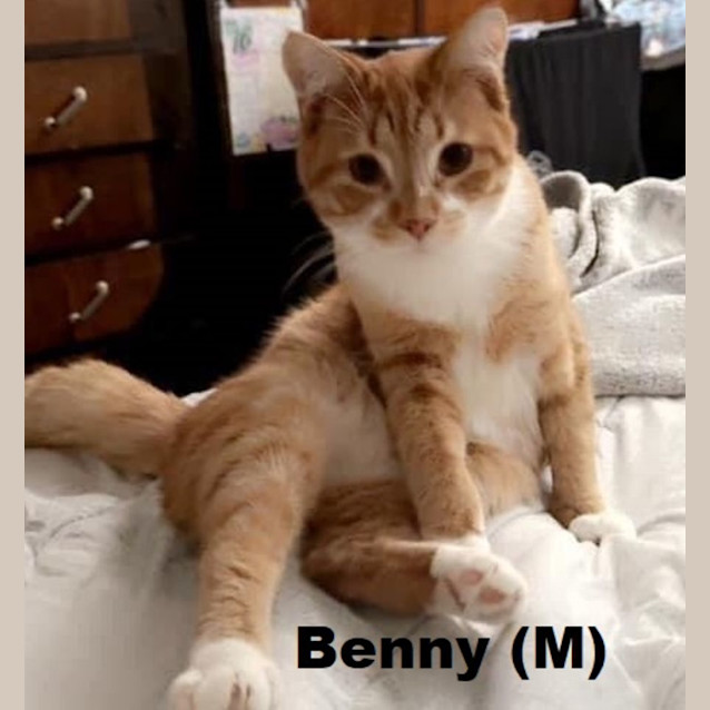 Photo of Benny