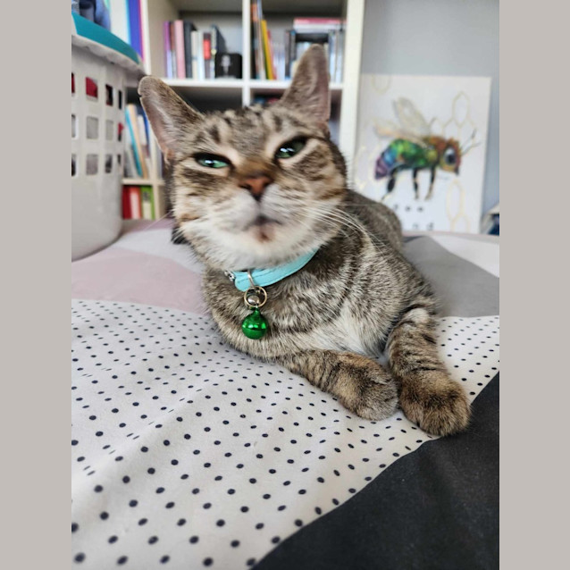 Photo of Tilly
