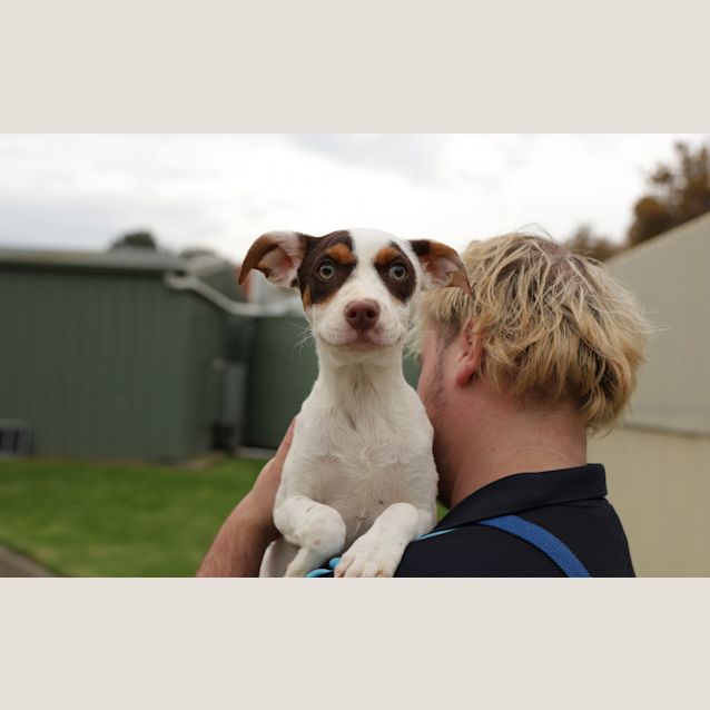 Photo of Patch