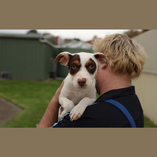 Photo of Patch