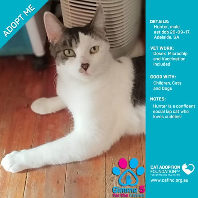 Photo of Hunter Only $39 Limited Time!