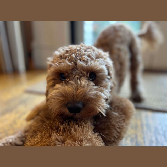 Photo of Sebastian