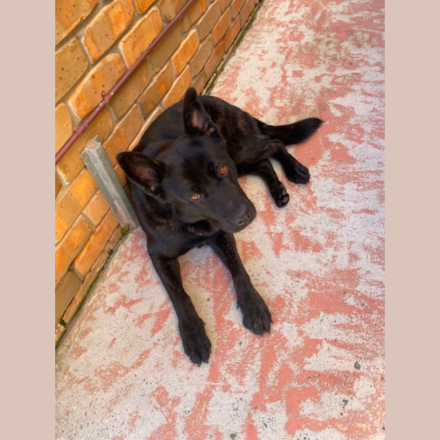 Photo of Wally