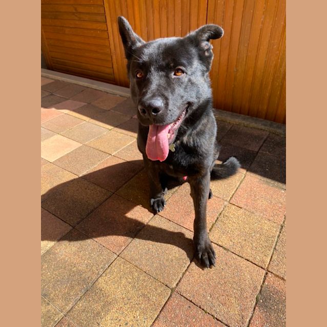 Photo of Wally