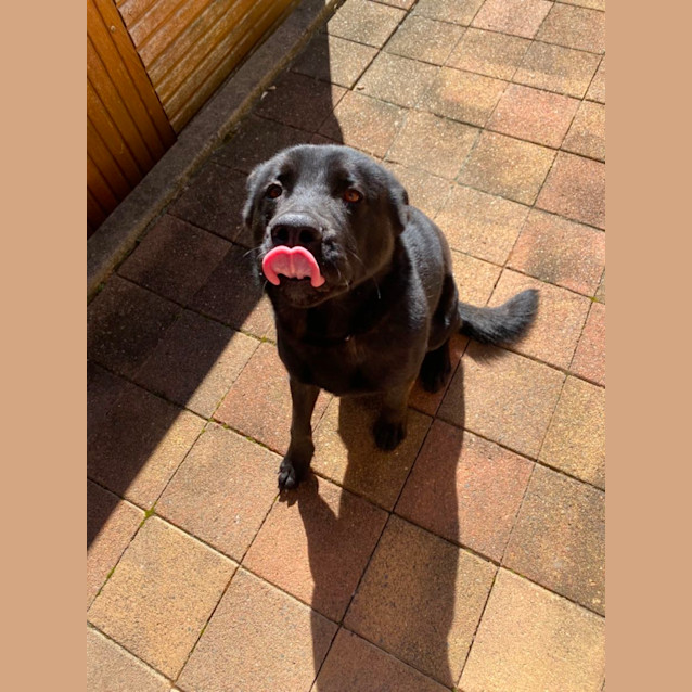 Photo of Wally