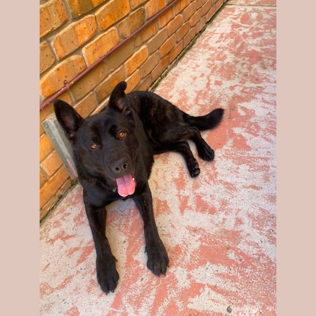 Photo of Wally