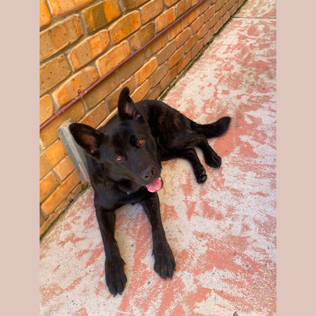 Photo of Wally
