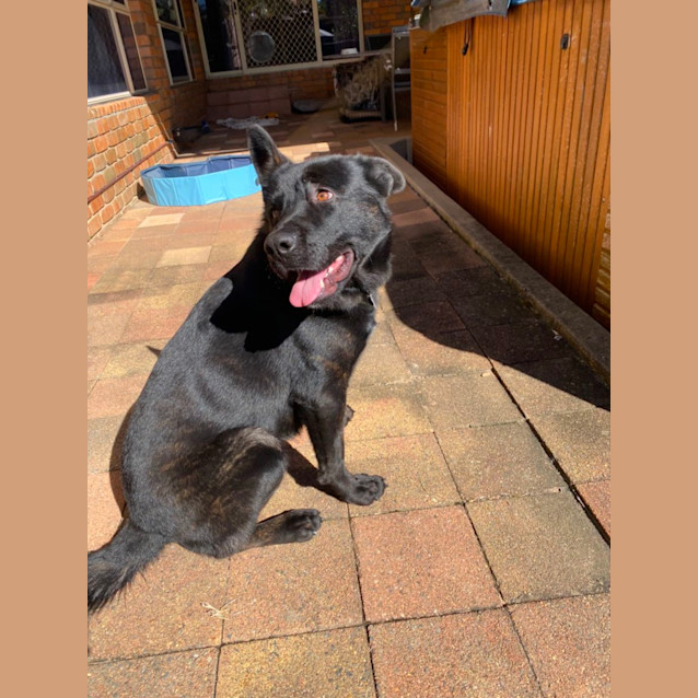 Photo of Wally
