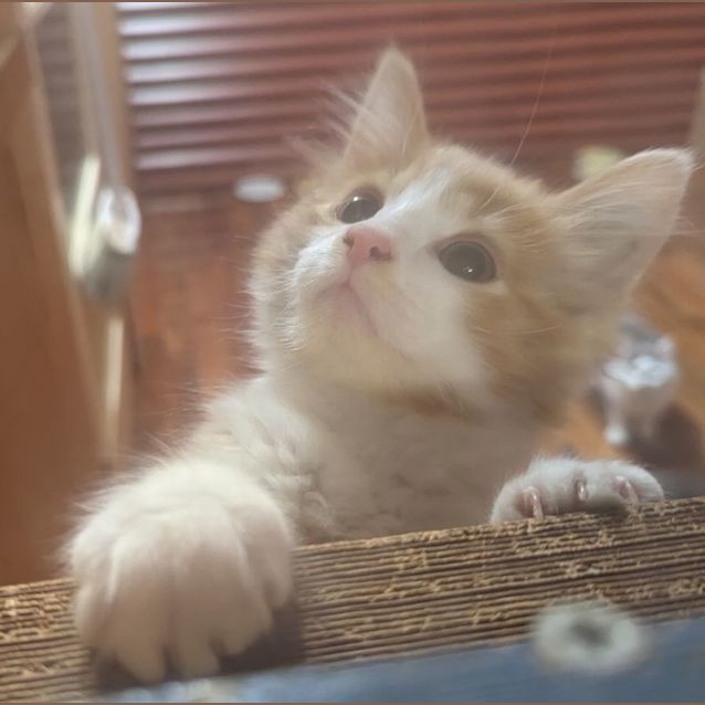 Photo of Bobby