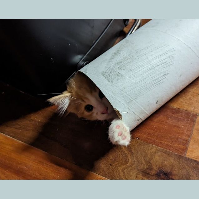 Photo of Bobby