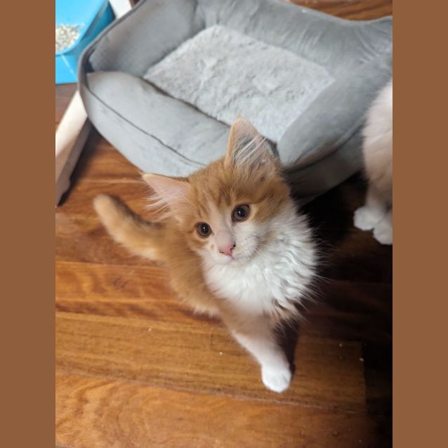 Photo of Bobby