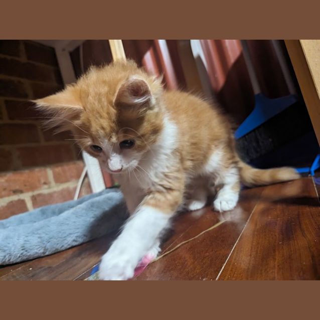 Photo of Bobby