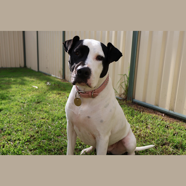 Photo of Mabel