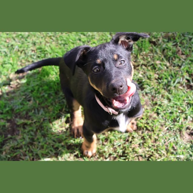 Photo of Max