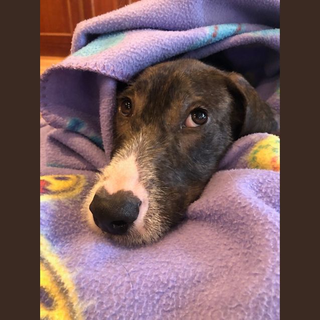 Photo of Winsten "Winnie"