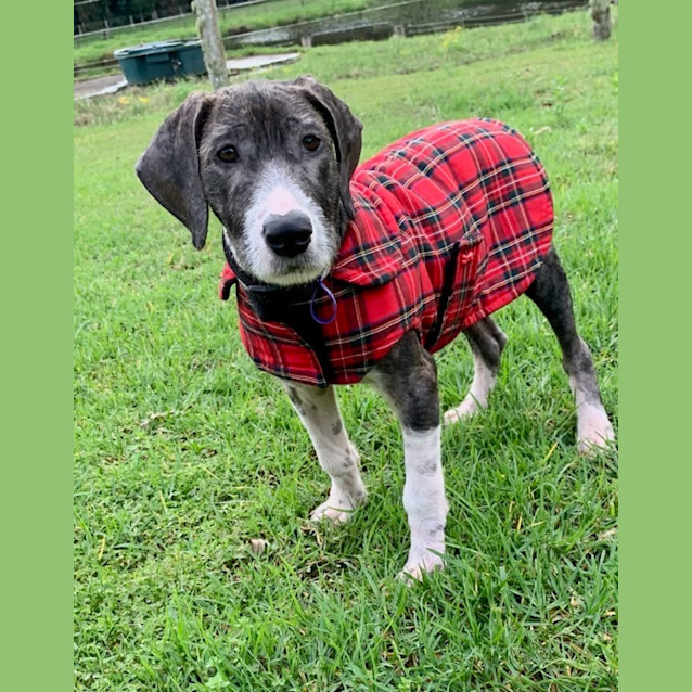 Photo of Winsten "Winnie"