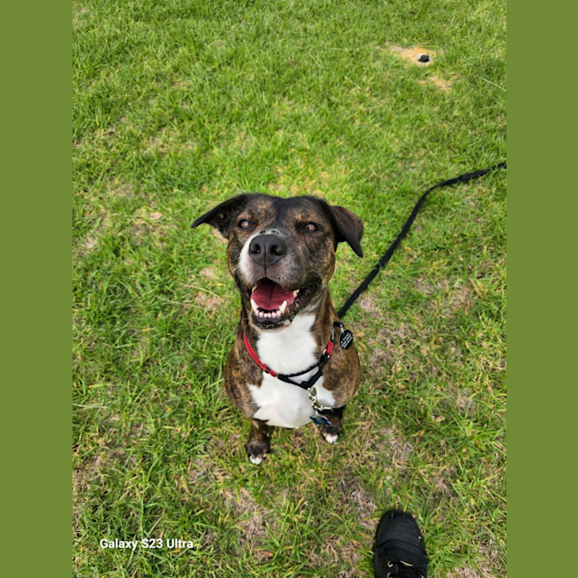 Photo of Ruby