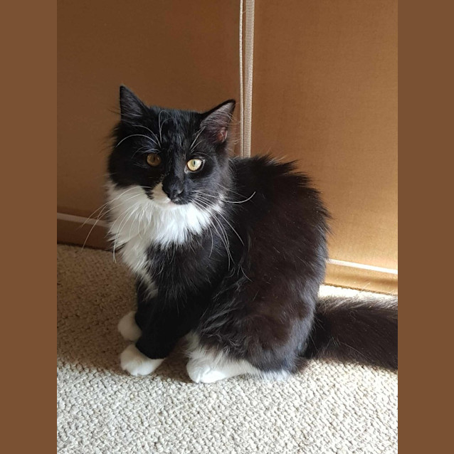 Photo of Albus