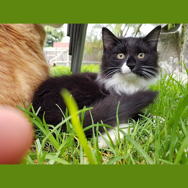 Photo of Albus