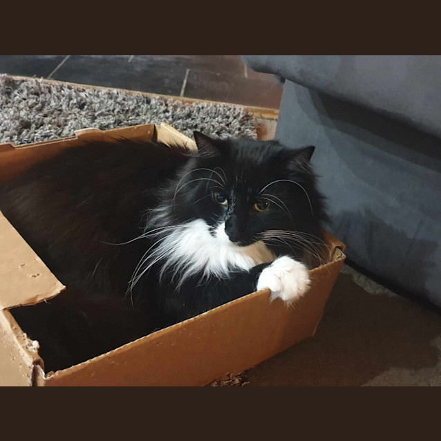 Photo of Albus