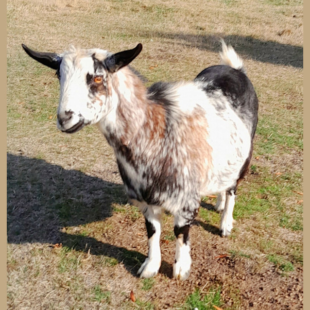 Photo of Mia