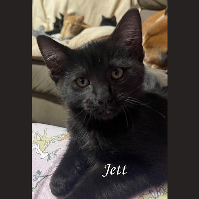 Photo of Jett