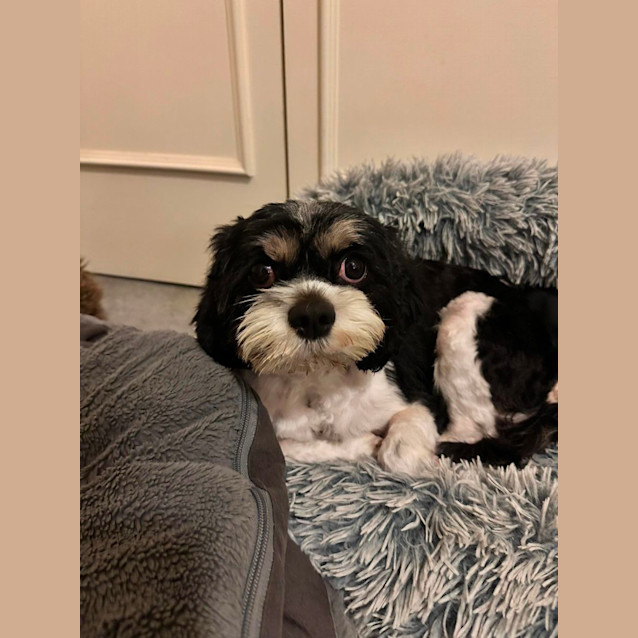 Photo of Patty & Selma